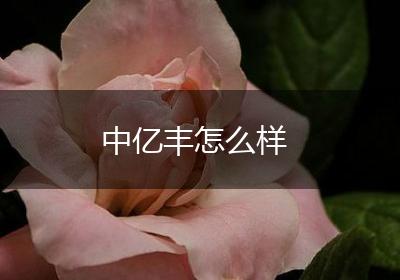 中亿丰怎么样