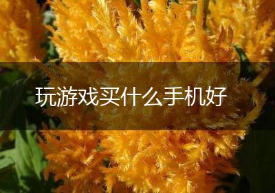 玩游戏买什么手机好