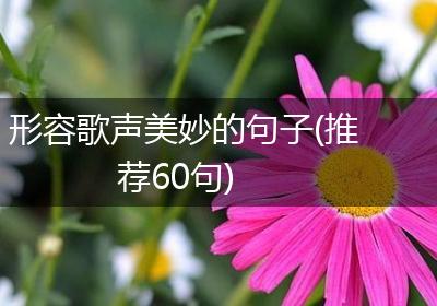 形容歌声美妙的句子(推荐60句)