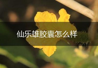 仙乐雄胶囊怎么样