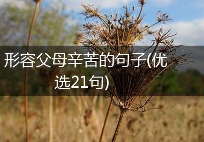 形容父母辛苦的句子(优选21句)