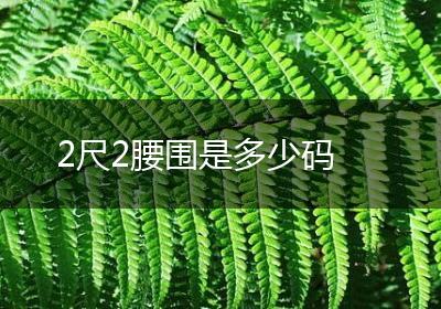 2尺2腰围是多少码