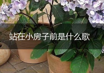 站在小房子前是什么歌
