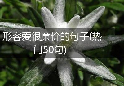 形容爱很廉价的句子(热门50句)