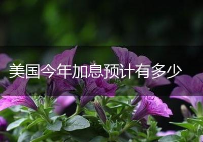 美国今年加息预计有多少
