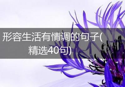 形容生活有情调的句子(精选40句)
