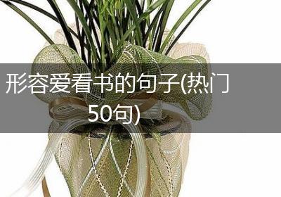 形容爱看书的句子(热门50句)