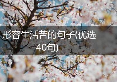 形容生活苦的句子(优选40句)