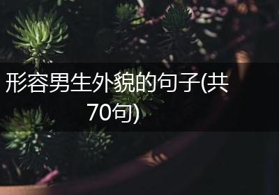 形容男生外貌的句子(共70句)