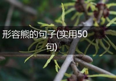 形容熊的句子(实用50句)