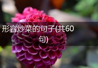 形容炒菜的句子(共60句)