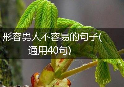 形容男人不容易的句子(通用40句)