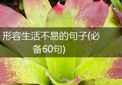 形容生活不易的句子(必备60句)