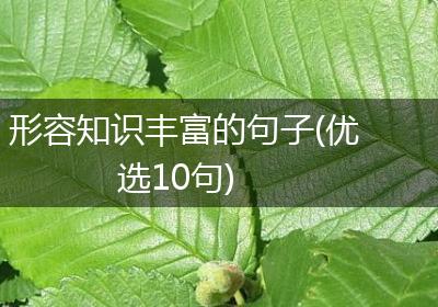 形容知识丰富的句子(优选10句)