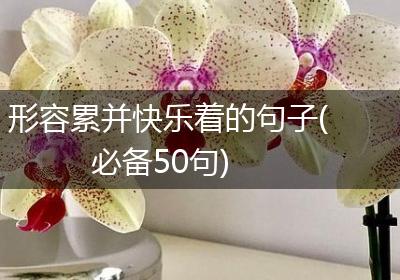 形容累并快乐着的句子(必备50句)