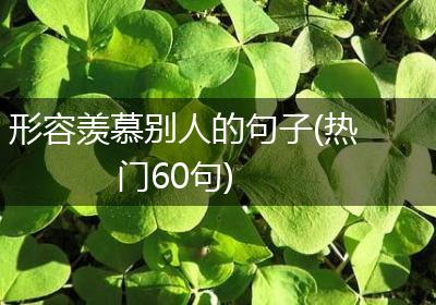 形容羡慕别人的句子(热门60句)