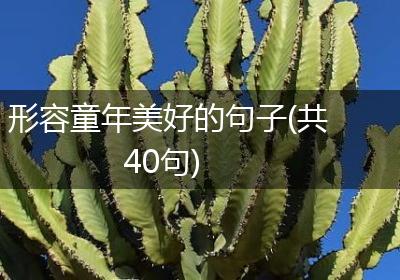 形容童年美好的句子(共40句)