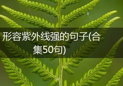 形容紫外线强的句子(合集50句)