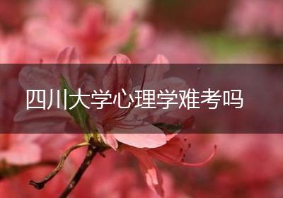 四川大学心理学难考吗