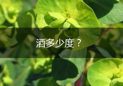 酒多少度？
