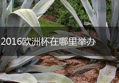 2016欧洲杯在哪里举办