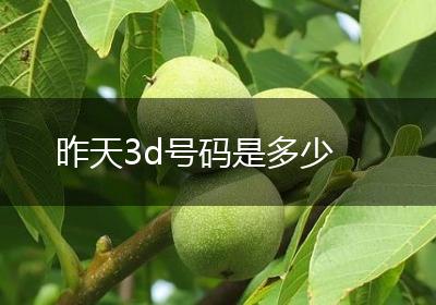 昨天3d号码是多少