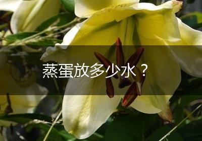 蒸蛋放多少水？