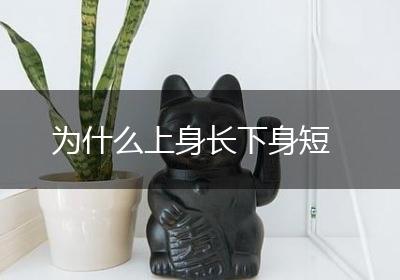 为什么上身长下身短