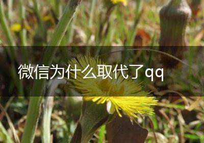 微信为什么取代了qq