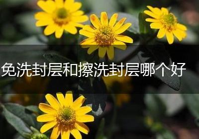免洗封层和擦洗封层哪个好