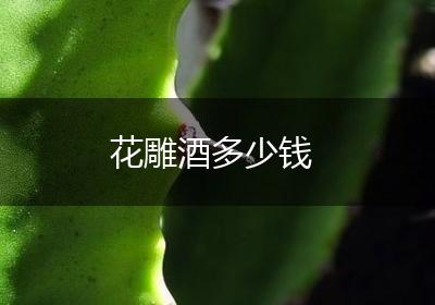 花雕酒多少钱