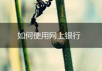 如何使用网上银行