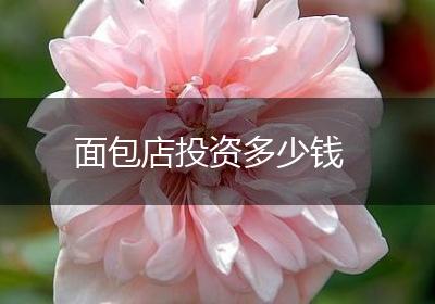 面包店投资多少钱