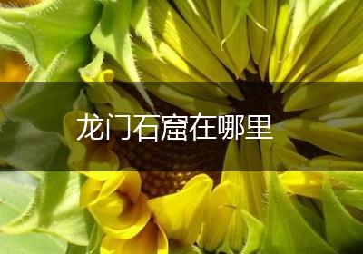 龙门石窟在哪里