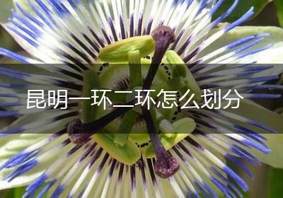 昆明一环二环怎么划分