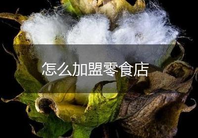 怎么加盟零食店