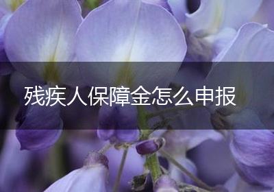 残疾人保障金怎么申报