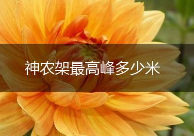 神农架最高峰多少米