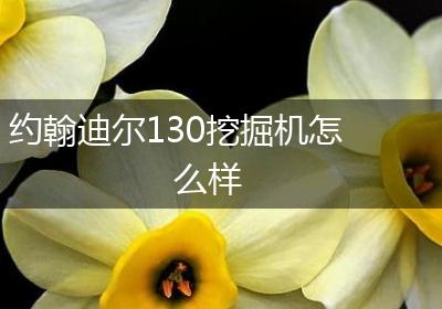 约翰迪尔130挖掘机怎么样