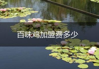 百味鸡加盟费多少