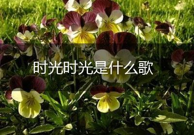 时光时光是什么歌