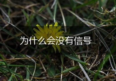 为什么会没有信号