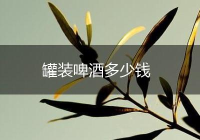 罐装啤酒多少钱