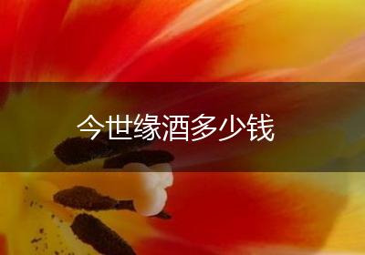 今世缘酒多少钱