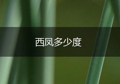 西凤多少度