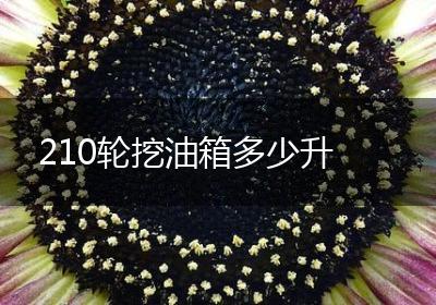 210轮挖油箱多少升