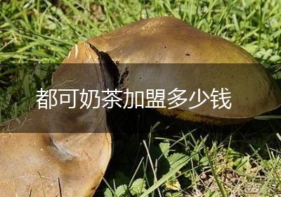 都可奶茶加盟多少钱