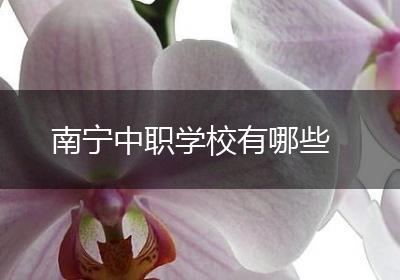 南宁中职学校有哪些
