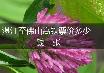湛江至佛山高铁票价多少钱一张