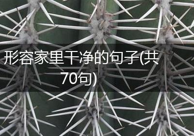 形容家里干净的句子(共70句)